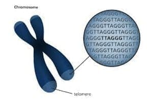 glutathione