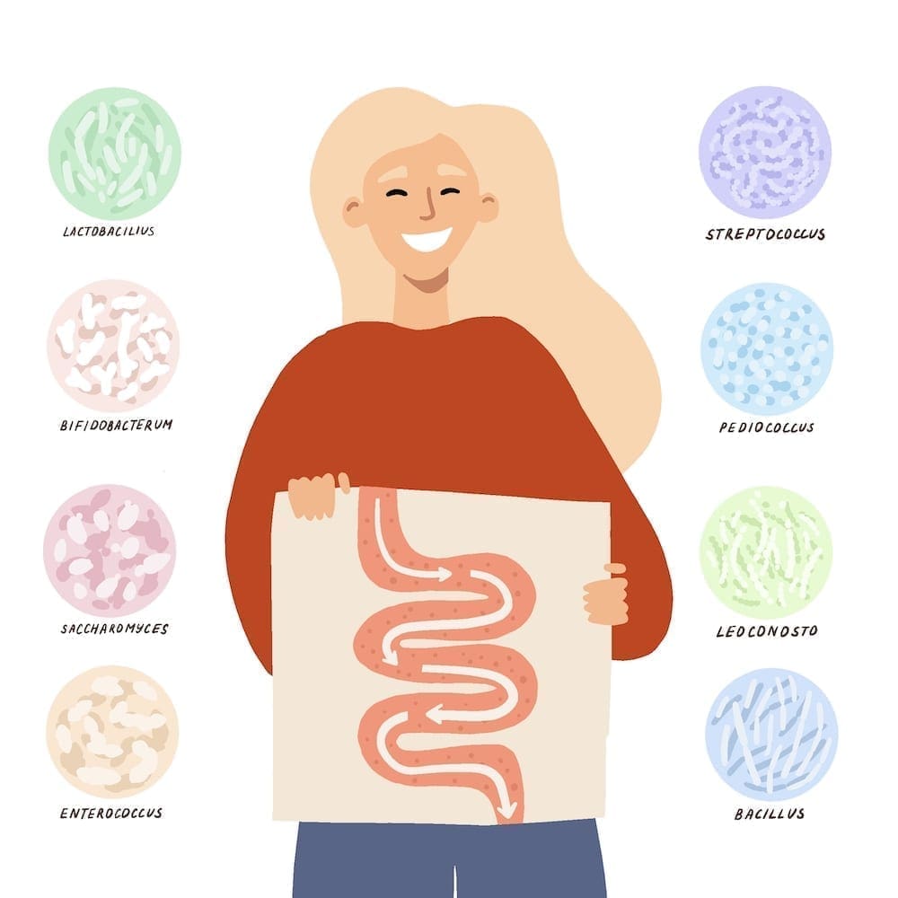 Probiotic Bacteria: Source of Essential Nutrients