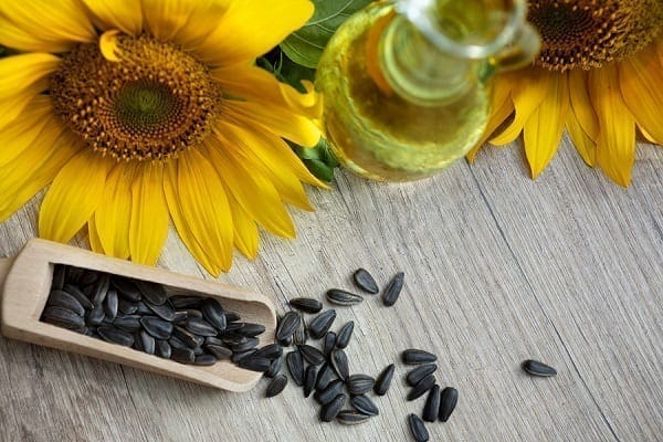 Sunflower oil and sunflower seeds shot from above