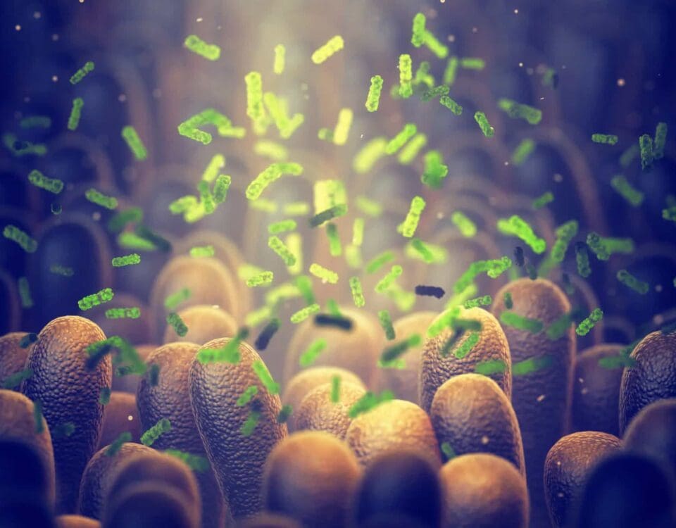 The Malnourished Microbiome: American’s #1 Nutritional Deficiency